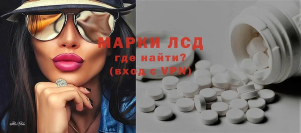 прущий лед Алзамай