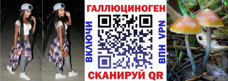 Псилоцибиновые грибы Magic Shrooms Тюкалинск